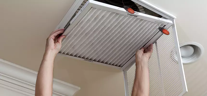 Preventive Cockroach-Proofing for Ducts in Big Spring