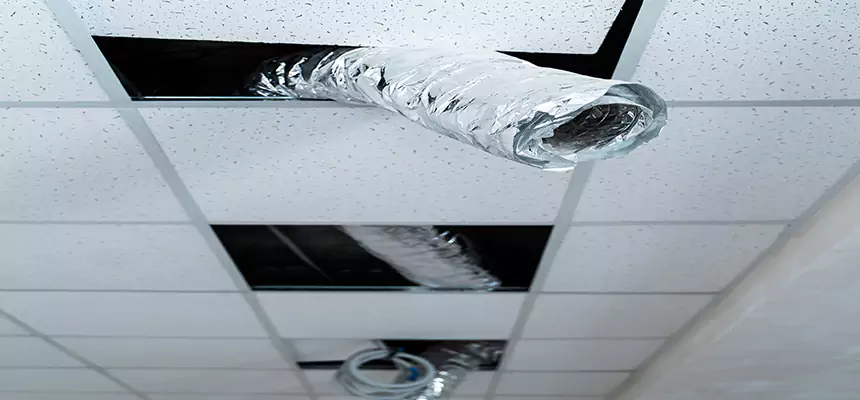 Our Air Duct Pet Hair Removal Services in Big Spring, TX