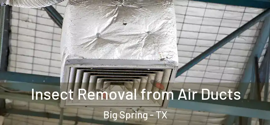 Insect Removal from Air Ducts Big Spring - TX