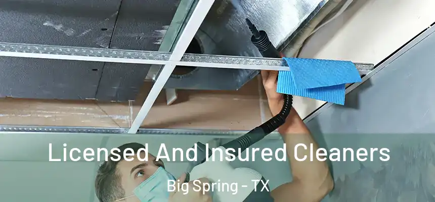  Licensed And Insured Cleaners Big Spring - TX