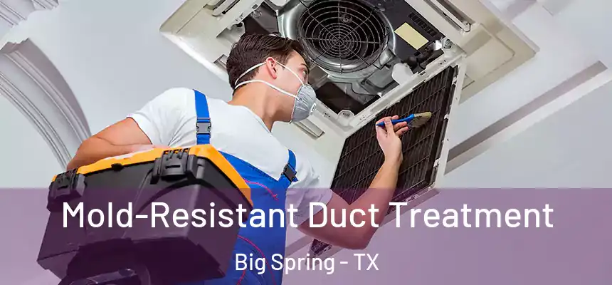  Mold-Resistant Duct Treatment Big Spring - TX