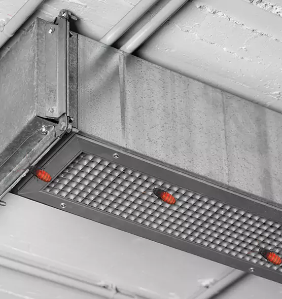 About Air Duct Cockroach Removal in Big Spring, TX