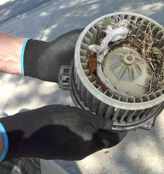 About Air Duct Mice Removal in Big Spring, TX